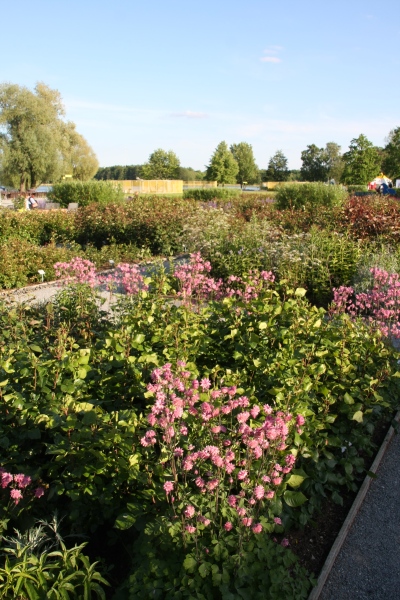 BUGA Schwerin   056.jpg